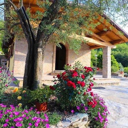 Agriturismo La Tana Читта-ди-Кастелло Экстерьер фото