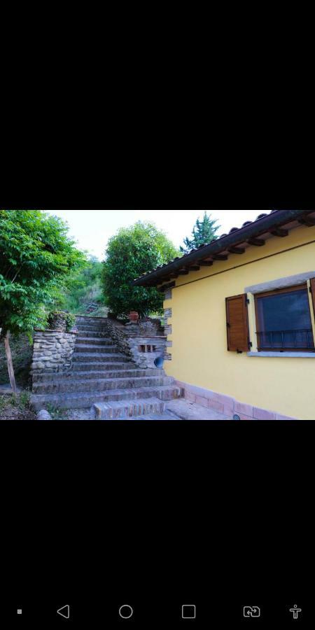 Agriturismo La Tana Читта-ди-Кастелло Экстерьер фото