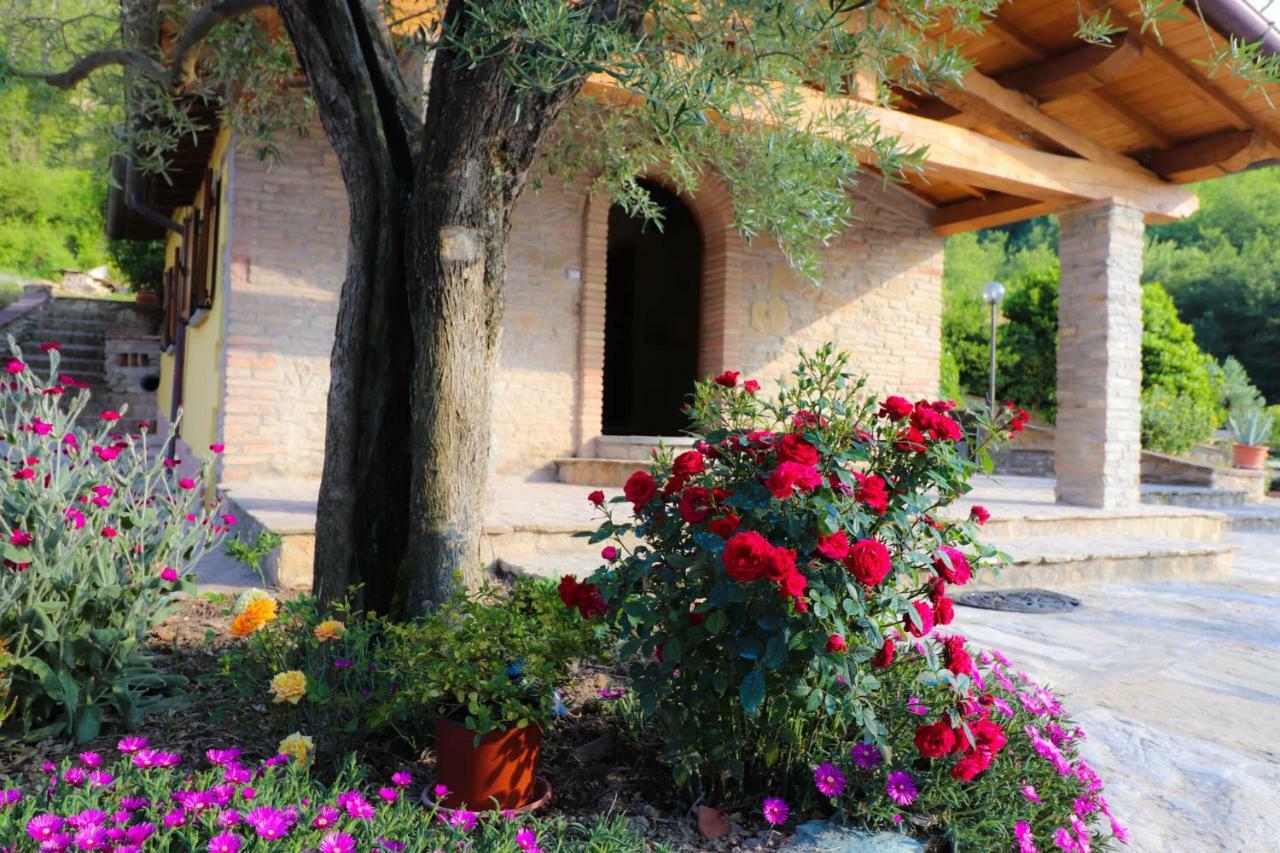 Agriturismo La Tana Читта-ди-Кастелло Экстерьер фото