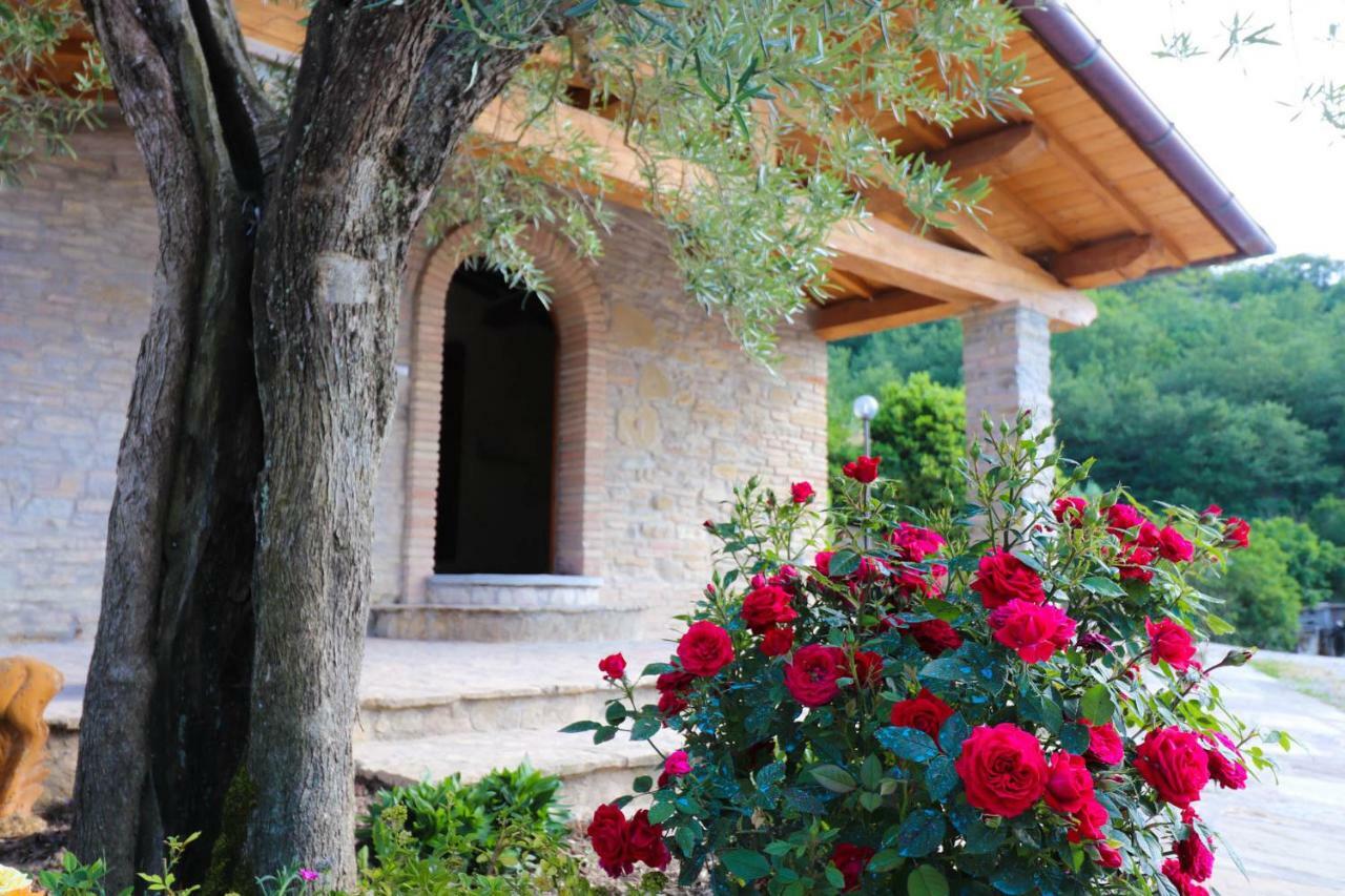 Agriturismo La Tana Читта-ди-Кастелло Экстерьер фото